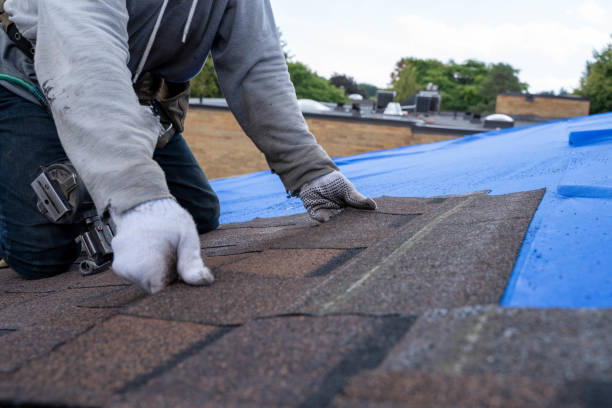 Quick and Trustworthy Emergency Roof Repair Services in West St Paul, MN